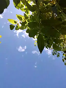 You-sexy-starr webcam