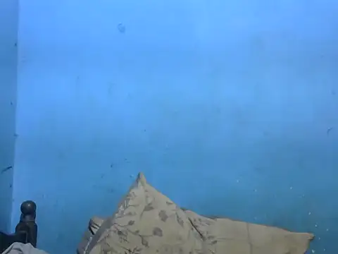 Indiansmiley01 webcam