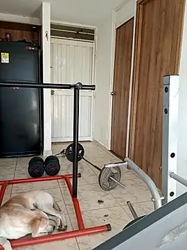 LEIRIS_Y_FRED_01 webcam