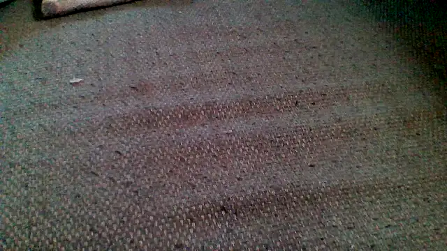 Juicyapplecandy webcam