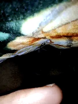 aman4404 (Ask my age) - My new house