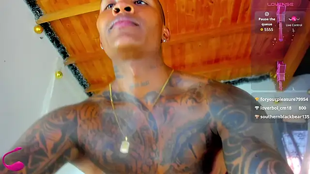 esteveen_ortegas_ webcam