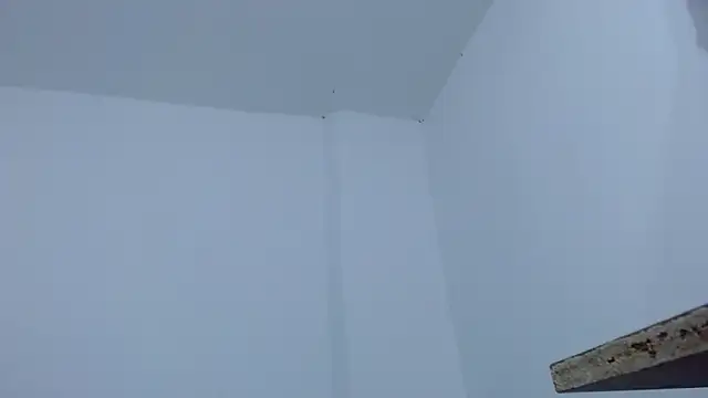 carolina_zabala_19 webcam