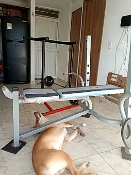 LEIRIS_Y_FRED_01 webcam