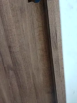 LEIRIS_Y_FRED_01 webcam