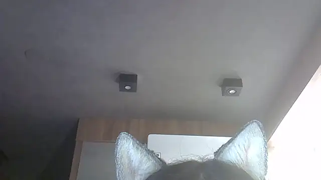 skinnykitten - SkinnyKitten's free webcam - UK Sex Cams