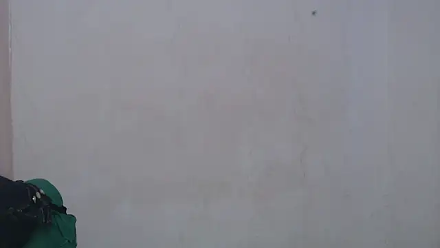 ricaslatinas1 webcam