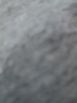 Naughtyforpussy webcam