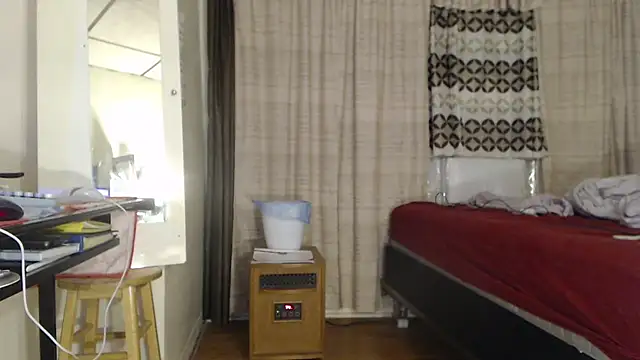 ANALTRAINING2 webcam