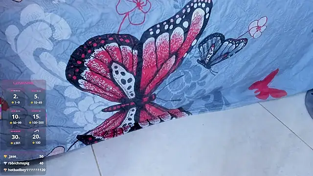 bruno_miller_ webcam