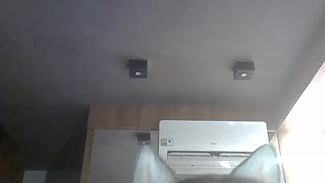 SkinnyKitten webcam