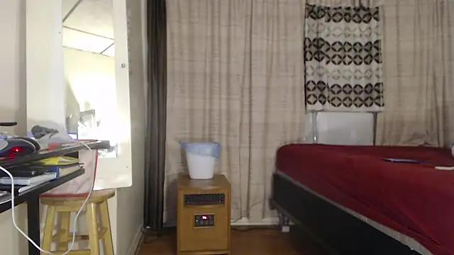 ANALTRAINING2 webcam