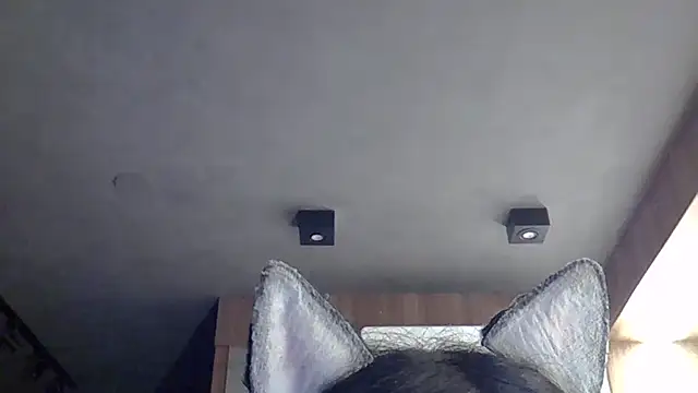 SkinnyKitten webcam