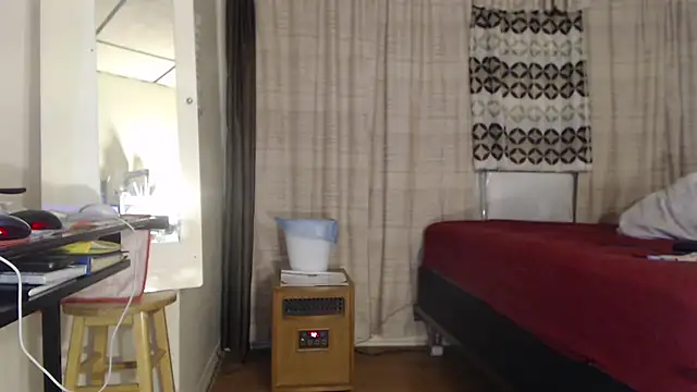 ANALTRAINING2 webcam