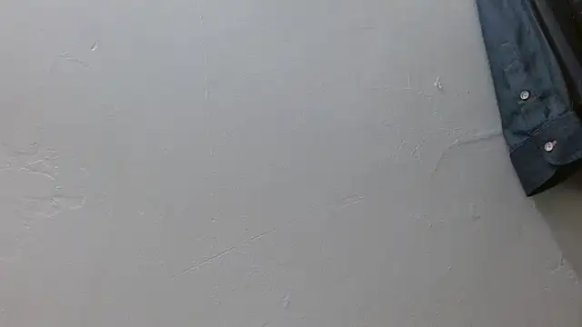 Lulu_and_smith webcam