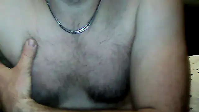 BrunJulienMetis webcam