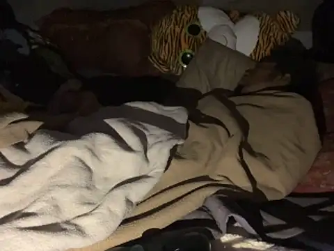 SlimeCrownzOut5 webcam