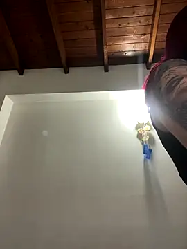 Paulina-Wells webcam