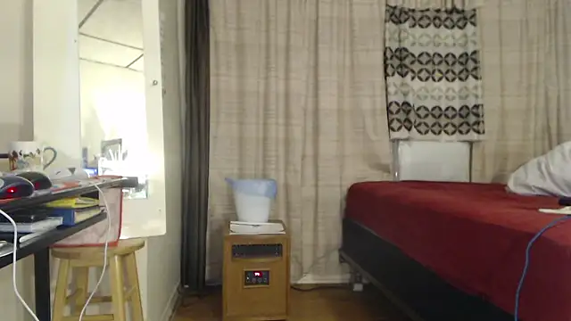 ANALTRAINING2 webcam