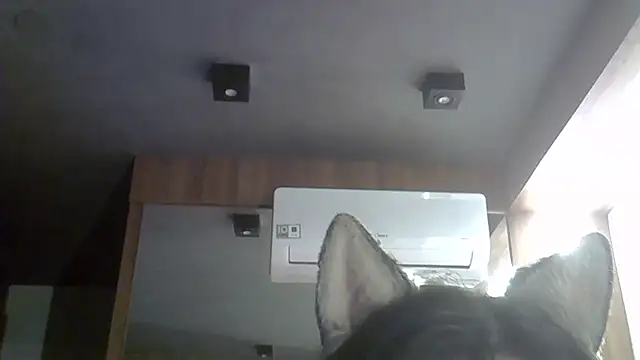 skinnykitten - SkinnyKitten's free webcam - UK Sex Cams