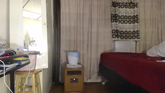 ANALTRAINING2 webcam