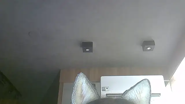 SkinnyKitten webcam