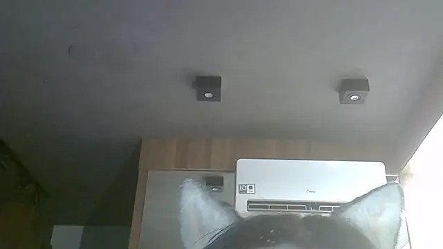 SkinnyKitten webcam