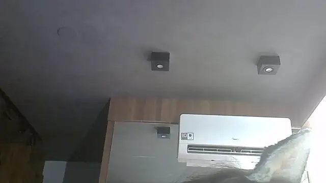 SkinnyKitten webcam