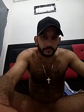 arqui009 webcam