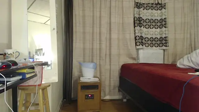 ANALTRAINING2 webcam