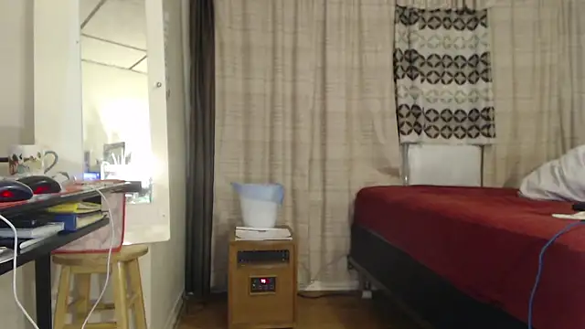 ANALTRAINING2 webcam