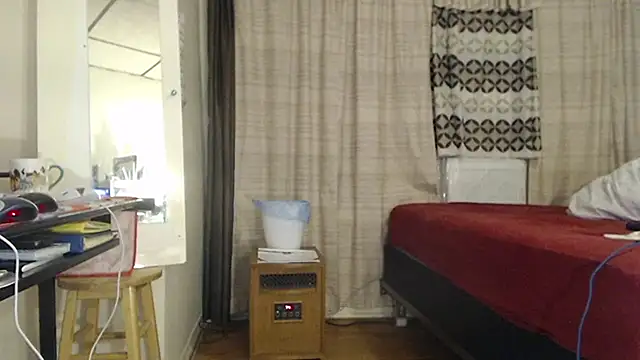 ANALTRAINING2 webcam