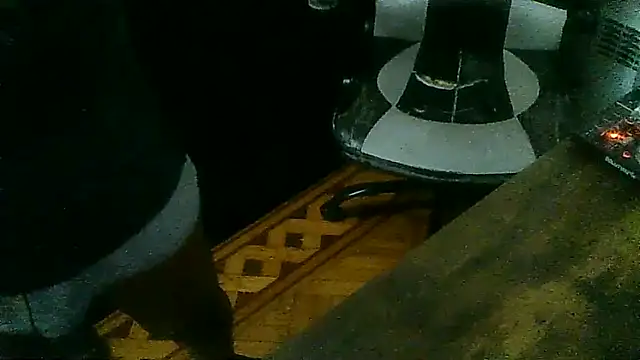 MrUnintentional webcam