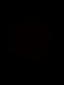 Casizwanzigerlang webcam