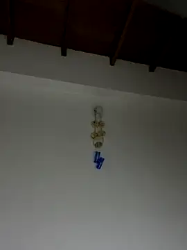 Paulina-Wells webcam