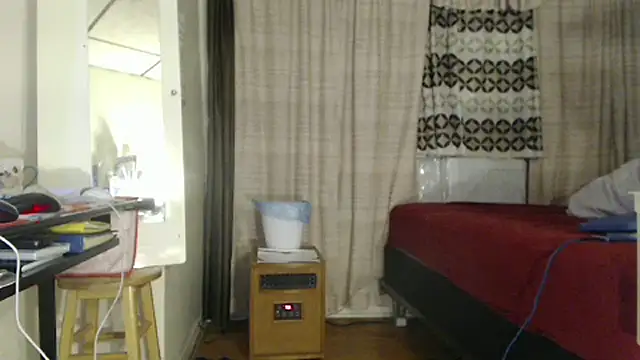 ANALTRAINING2 webcam