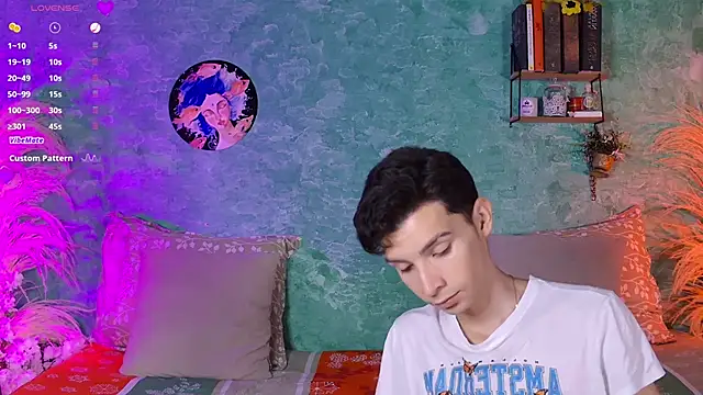 VicenteFerrer webcam