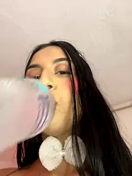 Alice_and_Bunny_ webcam