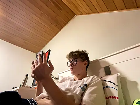 leBeauGosseMasquer webcam