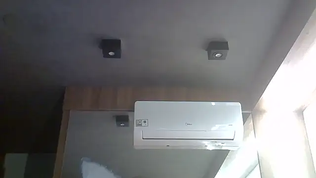 SkinnyKitten webcam