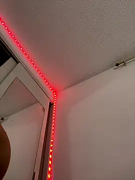 Alice_and_Bunny_ webcam