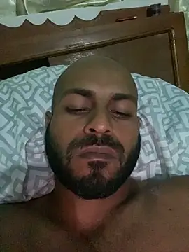 islandvybee55 webcam