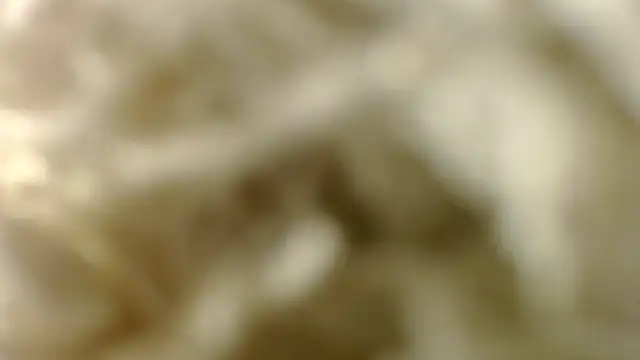 saraplayboy96 webcam