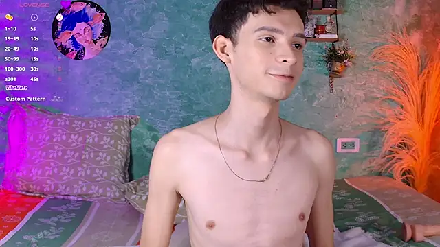 VicenteFerrer webcam