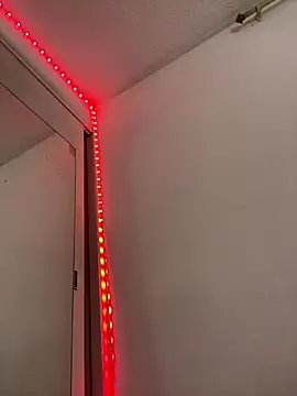 Alice_and_Bunny_ webcam