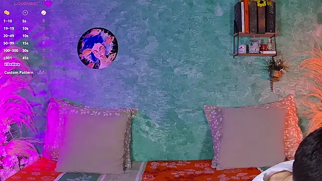 VicenteFerrer webcam