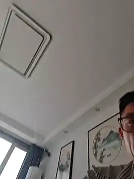 micai_fengbei webcam