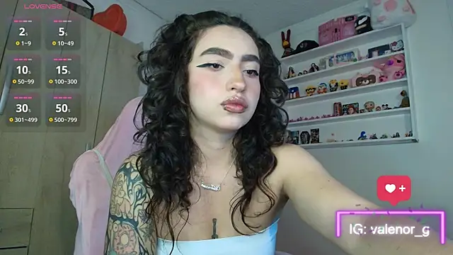 valenor_ webcam
