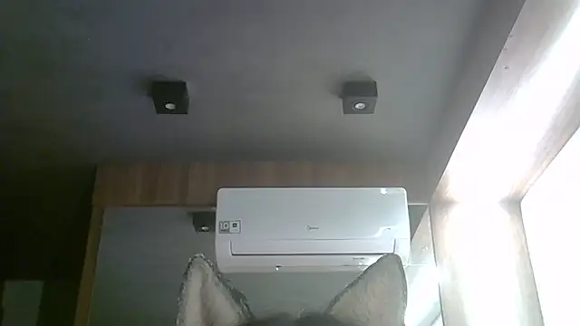 SkinnyKitten webcam