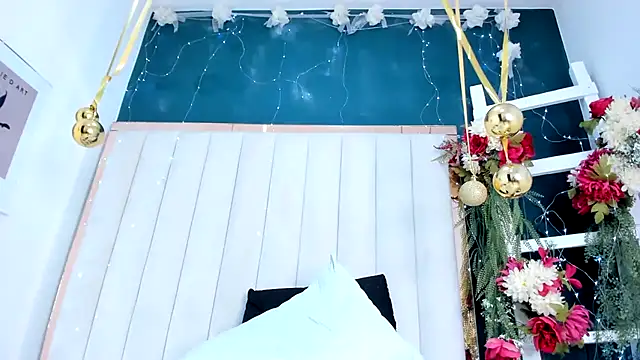 africa_holmes webcam